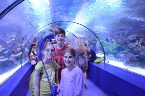 The kids in the tunnel of the Antalya aquarium